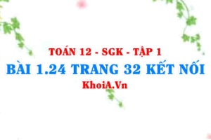 Bài 1.24 trang 32 Toán 12 tập 1 Kết nối tri thức